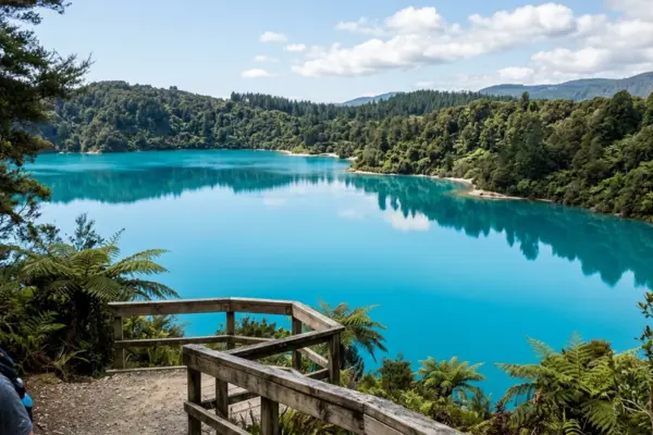 Blue Lake Tikitapu turquoise water free swimming Rotorua North Island