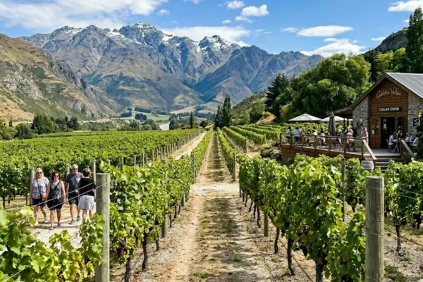 Vineyards and mountain scenery during a wine tasting tour in Gibbston Valley