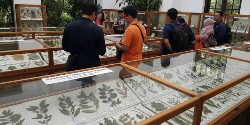 Herbarium Taman Botani Perdana