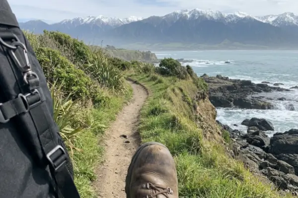 Hiking the Kaikoura Peninsula Walkway along the South Island coastline