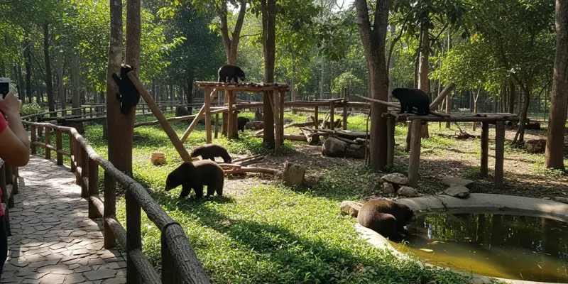 Luang Prabang Vacation: My Complete 4-Day Guide to Exploring Laos’ Hidden Gems, Food & Culture Moon Bear Sanctuary