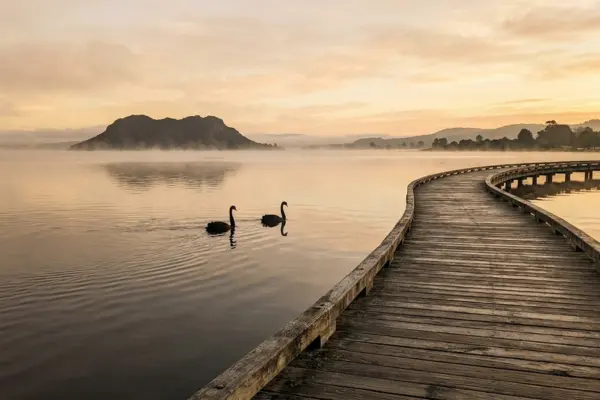 Rotorua lakefront boardwalk at sunrise with Mokoia Island in background New Zealand