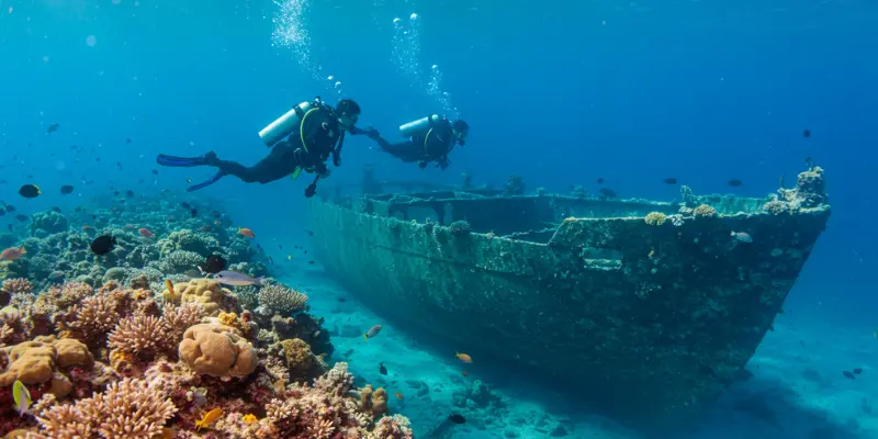 Plan your visit now and make your Bahamas adventure unforgettable. 12 Best Things to Do in Nassau for Every Traveler Snorkeling and Scuba Diving Adventures